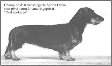sports_daika