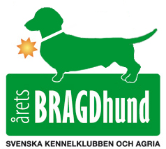 braghundslogga_tax