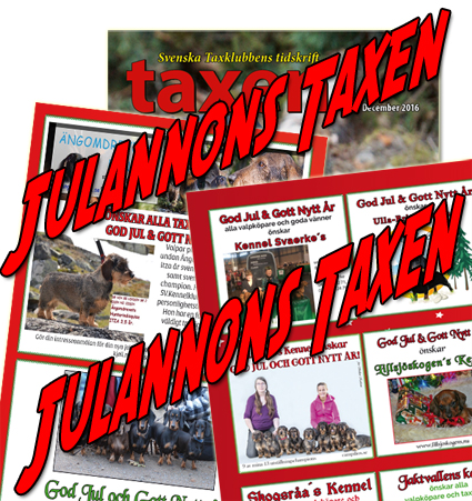 julannons_taxen2016