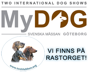 monter_gbg_mydog
