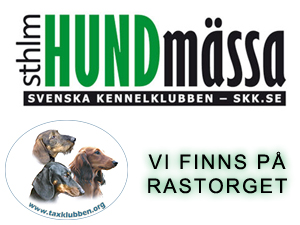 monter_sthlm_hundmassa