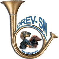 DREV-SM = logotype av Annika Stjärneving