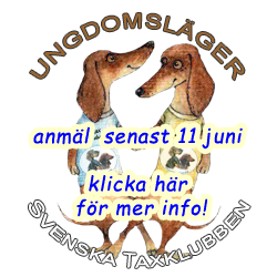 Ungdomsläger 2018